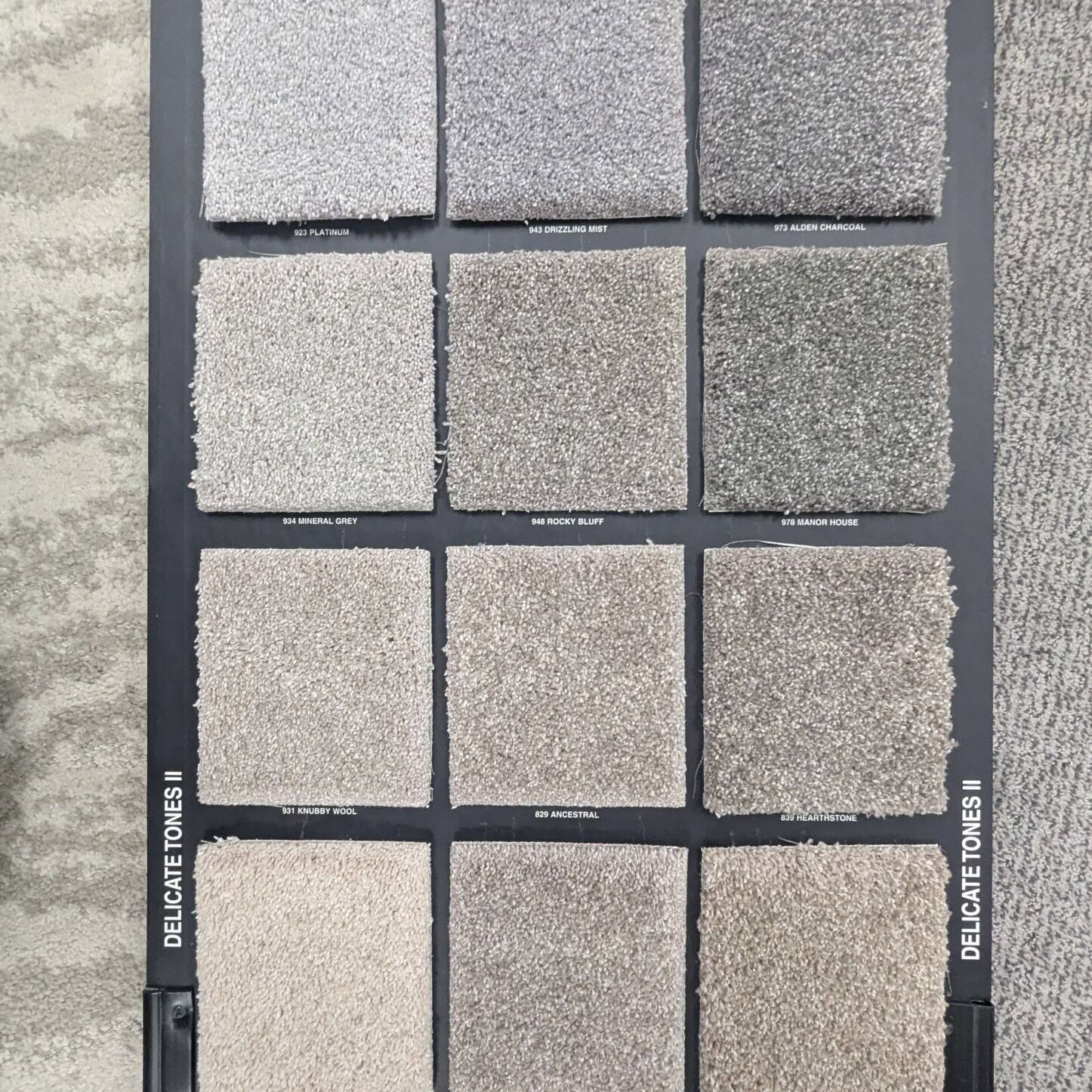 Trade show carpet rental carpet sample